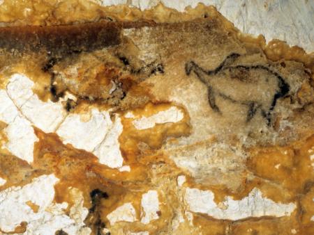 La grotte Cosquer : un bijou paléolithique dans une calanque